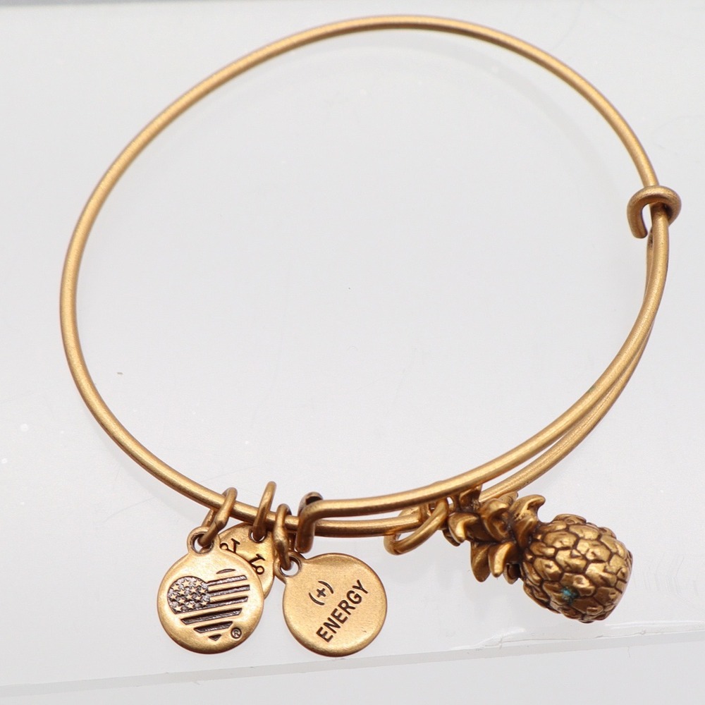 Alex and Ani Pineapple Charm Bangle Bracelet Rafaelian Gold Finish Expandable